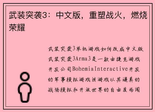 武装突袭3：中文版，重塑战火，燃烧荣耀